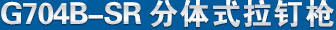 G704B-SRwʽᔘ aƷQ